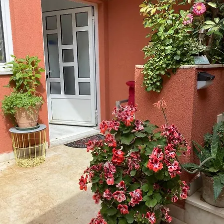 Apartamento Zala Matusan *